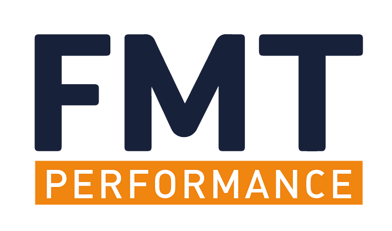 fmt performance